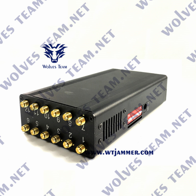 Uno stampo tenuto in mano di 12 Gps delle antenne per il VHF GPS Lojack di frequenza ultraelevata di 3G 4G 5G WiFi